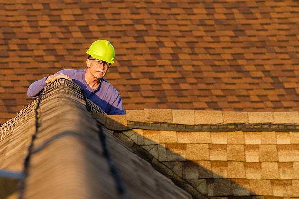 Roof Gutter Cleaning in Level Green, PA